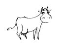 Cow funny. Cheerful wild animal. A comical character. Outline sketch. Hand drawing is isolated on a white background