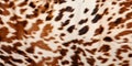 Cow fur texture background Royalty Free Stock Photo