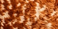 Cow fur texture background Royalty Free Stock Photo