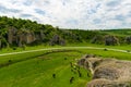 Cow and goats grazing in Dobrogea Gorges area, Romania Royalty Free Stock Photo