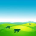 Cow grazes in a meadow - vector Royalty Free Stock Photo