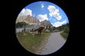 cow grazes in the mountains photographed with fisheye lens Royalty Free Stock Photo