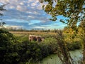 A cow grazes in a typical English field with Christ Church College in Oxford in the background. Royalty Free Stock Photo