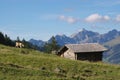 Cow grazing Royalty Free Stock Photo