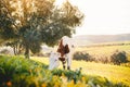 Cow grazing on a fresh grass. Landscape with grass field, olive trees, animal and beautiful sunset. Moroccan nature Royalty Free Stock Photo