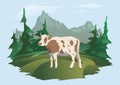 A cow grazing in a meadow, Alpine landscape. Vector illustration for packaging of milk or dairy products.