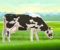 A cow is grazing in a pasture. Vector landscape. Black and white breed. Meadow grass. Rural rustic view. Mountains, sky