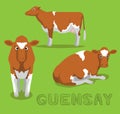 Cow Guernsay Cartoon Vector Illustration