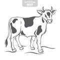 Cow hand-drawn vector illustration.