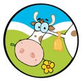 Cow head chewing on a flower Royalty Free Stock Photo