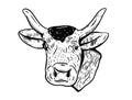 Cow head engraving style. Hand drawn vector illustration. Royalty Free Stock Photo