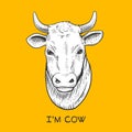 Cow head engraving style vector illustration Royalty Free Stock Photo