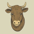 Cow head engraving style vector illustration Royalty Free Stock Photo