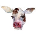 Cow head farm animal isolated. Watercolor background illustration set. Isolated cow illustration element. Royalty Free Stock Photo