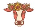 Cow head with flower wreath. Color vector illustration isolated on white. Country Farm animal Royalty Free Stock Photo