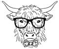 Cow head with glasses and tie. Hipster Highland