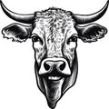 Cow head with horns logotype engraving style isolated vector Royalty Free Stock Photo