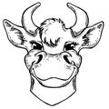 Cow head isolated on white background. Farm animal vector portrait. Fresh milk. Dairy farm. Butcher.