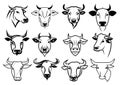Cow head logo set sketch hand drawn Vector illustration, Cattle Royalty Free Stock Photo