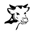 Cow head portrait, farm animal. Design for label, logotype, packaging