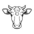 Cow head vector icon. Outline drawn style