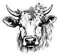 Cow head wreath of flowers. Farm Royalty Free Stock Photo