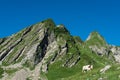 Cow in a high mountain pasture Royalty Free Stock Photo