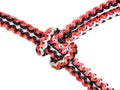 Cow hitch knot on slipped closed loop close up Royalty Free Stock Photo