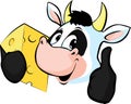 Cow hold Cheese - Vector illustration Royalty Free Stock Photo