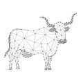 Cow with horns, an farm pet, from abstract futuristic polygonal black lines and dots. Low poly concept. Vector illustration