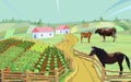 Cow horse farm cabbage vector Royalty Free Stock Photo