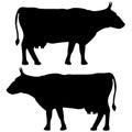 Cow icon black color set Flat illustration Royalty Free Stock Photo
