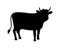 Cow icon. Cattle silhouette. Angus beef. Logo of black calf or bull. Meat and milk from farm. Illustration for food emblem. Royalty Free Stock Photo