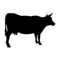 Cow icon