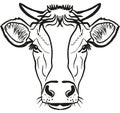 Cow icon. Farm animal. Vector icon isolated on white background Royalty Free Stock Photo