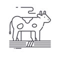 Cow icon, linear isolated illustration, thin line vector, web design sign, outline concept symbol with editable stroke Royalty Free Stock Photo