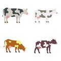 Cow icons set, flat style Royalty Free Stock Photo