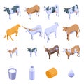 Cow icons set, isometric style Royalty Free Stock Photo