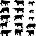 Cow icons