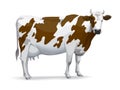 Cow Royalty Free Stock Photo