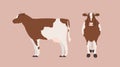 Cow isolated on light background. Bundle of portraits of cute domestic herbivorous animal, beef or dairy cattle, farm