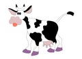 Cow, isolated, white background Royalty Free Stock Photo