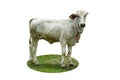 Cow isolated on a white background,cliping paths Royalty Free Stock Photo