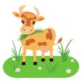 Cow isolated on a white background. Vector illustration in cartoon style.