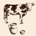 Cow and a jug of milk Royalty Free Stock Photo