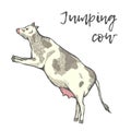 The cow jumped. Royalty Free Stock Photo