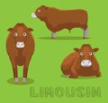 Cow Limousin Cartoon Vector Illustration