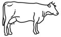 Cow line icon. Cattle symbol. Farm sign