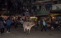 A cow lying on a busy street at night in Varanasi, Indiaa.