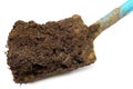 Cow manure on a shovel Royalty Free Stock Photo